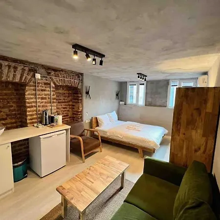 Classy Furnished Studio In The Heart Of Karakoy 6 Istanboel