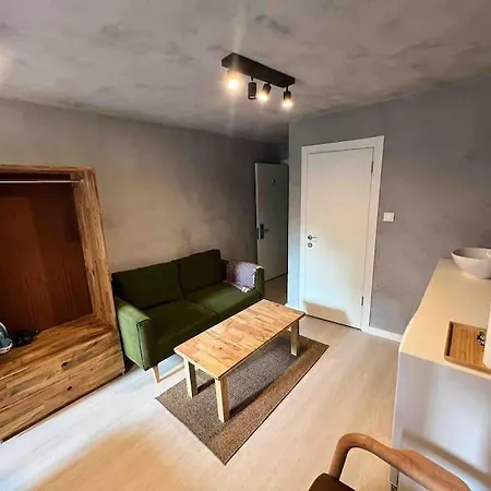 Classy Furnished Studio In The Heart Of Karakoy 6 * Istanbul