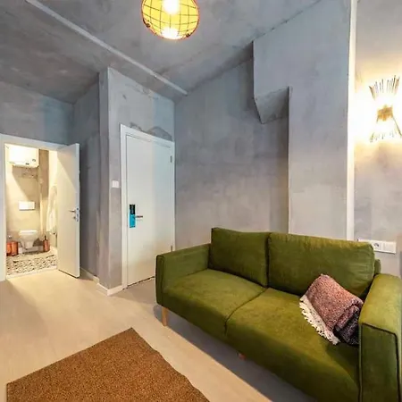 Apartment Classy Furnished Studio In The Heart Of Karakoy 6 Istanbul